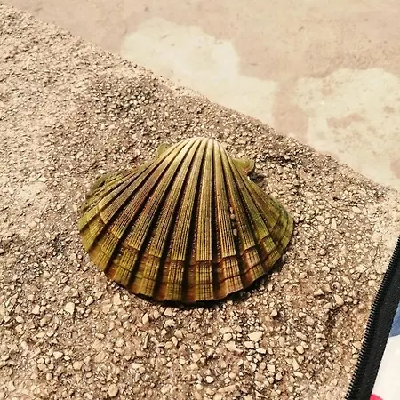 Apartman Ivan Bibinje