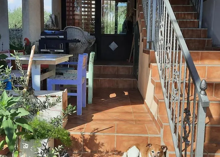 Ivan ביבינייה