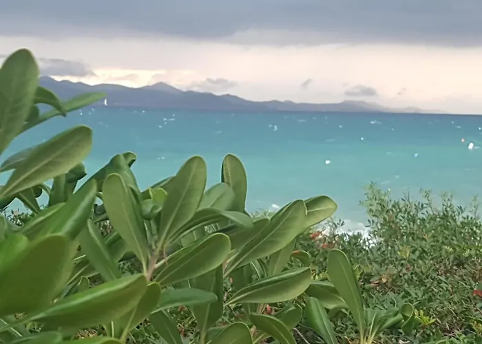 Ivan * ביבינייה