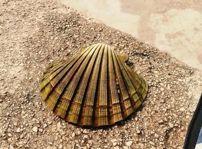 Lejlighed Ivan Bibinje